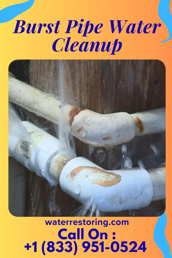 Burst Pipe Water Cleanup in Roaming Shores, OH