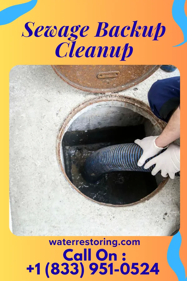 Sewage Backup Cleanup in Roaming Shores, OH